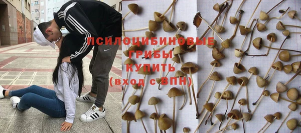 спиды Костерёво