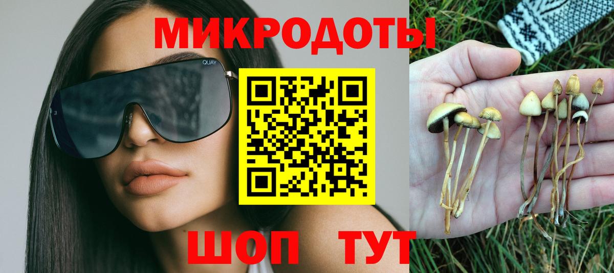 Галлюциногенные грибы мухоморы Иваново